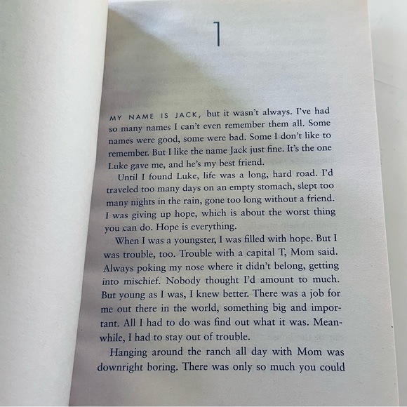 NEW 💭🐑 Sheep YA Novel Valerie Hobbs Paperback - Picture 3 of 4